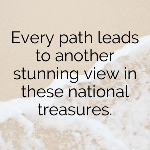 Northern Lights Captions Image for Instagram-zsvzxi