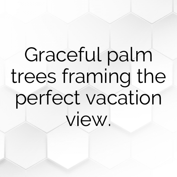 Oil Palm Captions Image For Instagram-9tk9Id