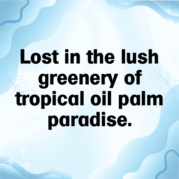 Oil Palm Captions Image For Instagram-HFVlh6