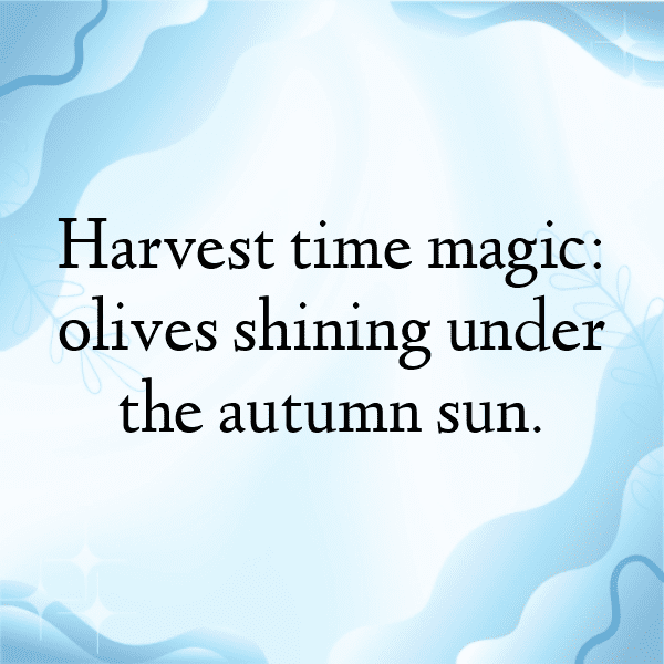 Olive Captions Image For Instagram-0o1ktB