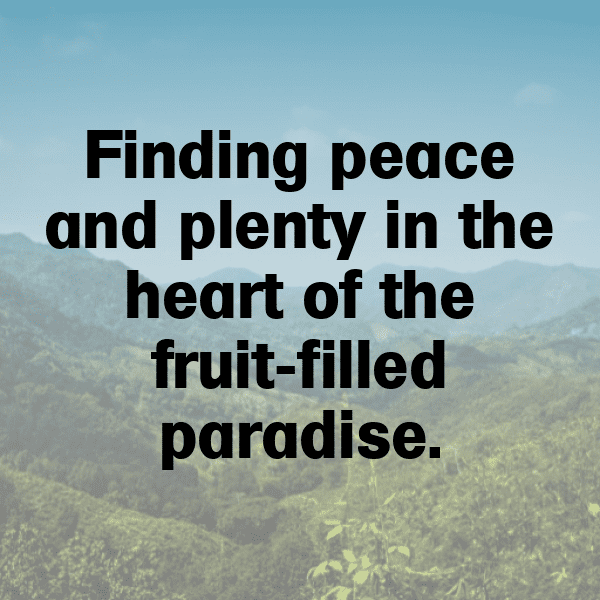 Orach Captions Image For Instagram-RigLIj