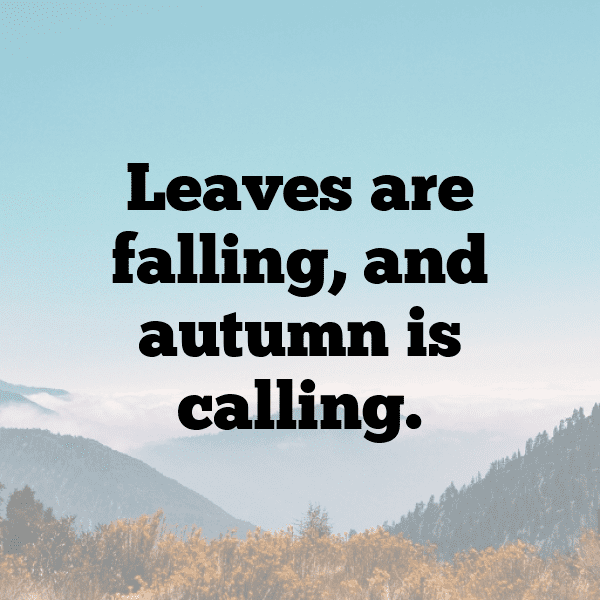 Orach Captions Photo For Instagram-0234Ox