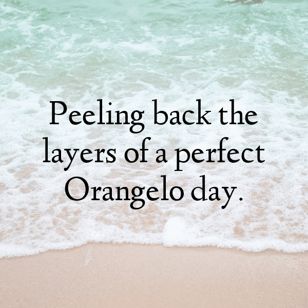 Orangelo Captions Photo For Instagram-zhwV1Z