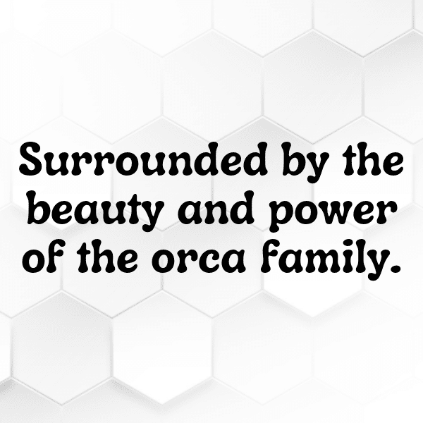 Orca Captions Photo For Instagram-eiHRgw