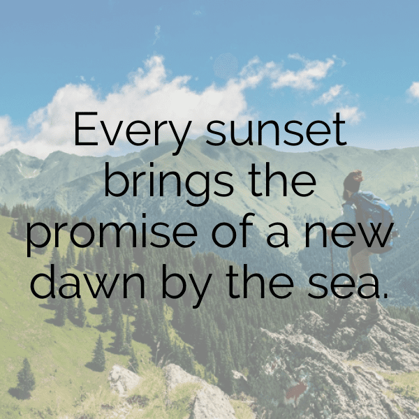 Orca Captions Photo For Instagram-WA7ZDZ