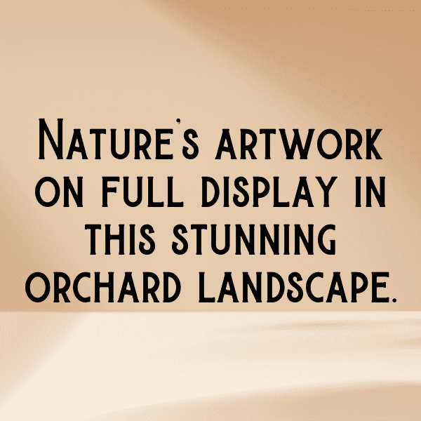 Orchard Visit Captions Image for Instagram-ahIc4I