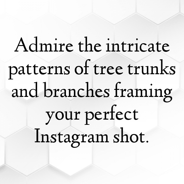 Orchard Visit Captions Image for Instagram-E3I68e