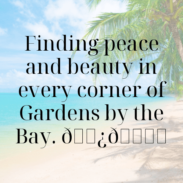 Orchard Visit Captions Image for Instagram-sRbYKf