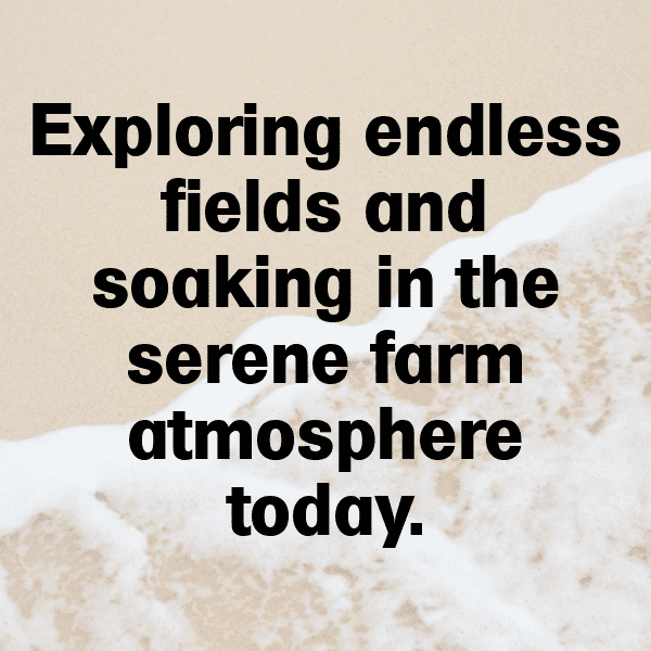 Orchard Visit Captions Image for Instagram-vgKUWA