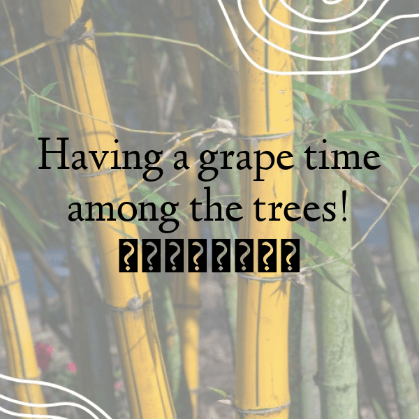 Orchard Visit Captions Photo for Instagram-05kkin