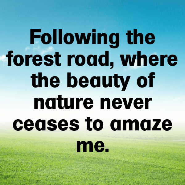 Orchard Visit Captions Photo for Instagram-7jAdCS