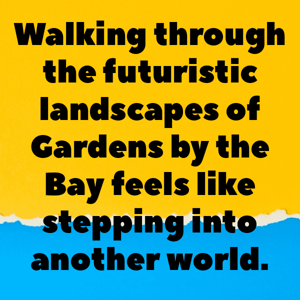 Orchard Visit Captions Photo for Instagram-dhIaQS