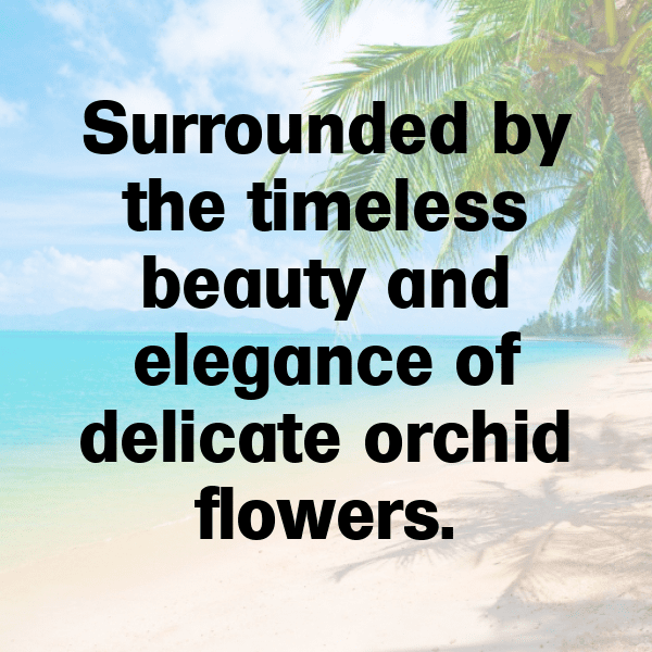 Orchard Visit Captions Photo for Instagram-g9ZLDI