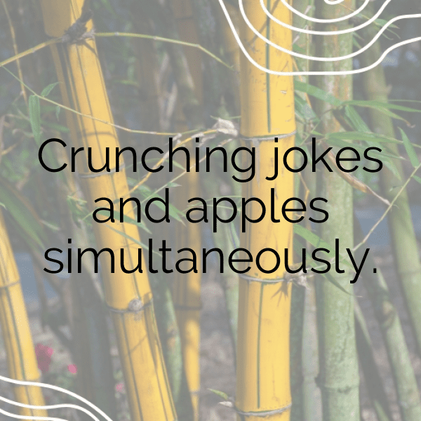 Orchard Visit Captions Photo for Instagram-M7TISy