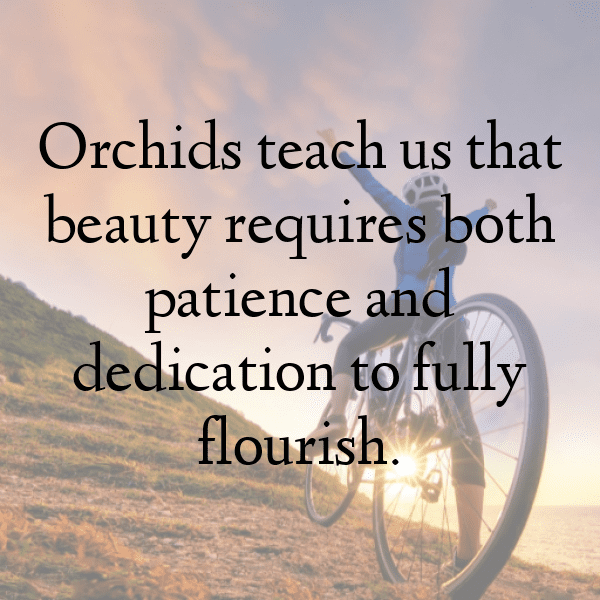 Orchid Captions Image For Instagram-85XsJl