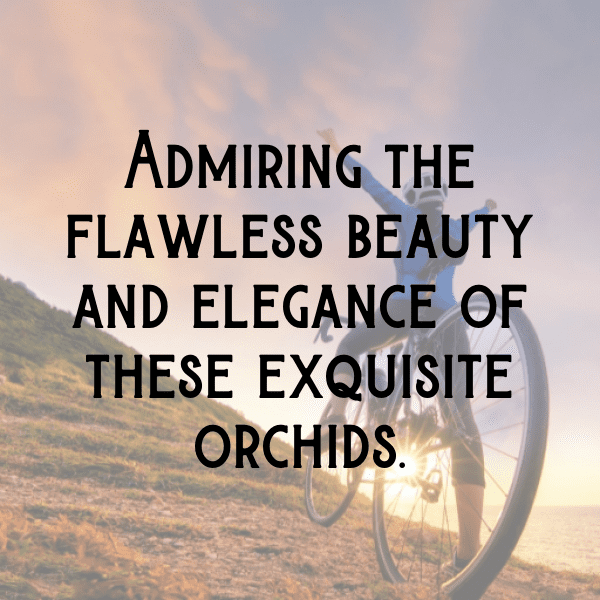 Orchid Captions Image For Instagram-MA466n