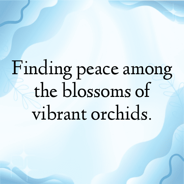 Orchid Captions Image For Instagram-OUYeM9