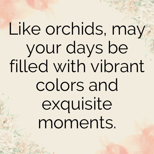 Orchid Captions Image For Instagram-t42XBX