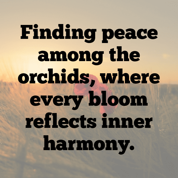 Orchid Captions Image For Instagram-VJwmor