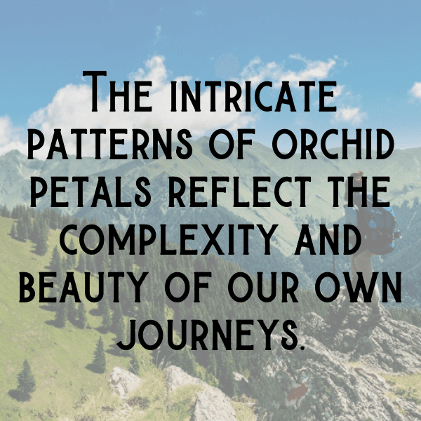 Orchid Captions Photo For Instagram-6QFGM6