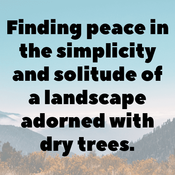 Orchid Captions Photo For Instagram-E5t8FR