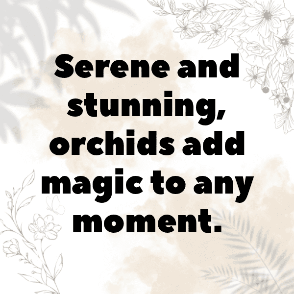 Orchid Captions Photo For Instagram-MpdcfI