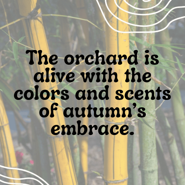 Orchid Captions Photo For Instagram-UUNEjQ