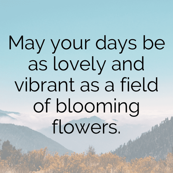 Orchid Captions Photo For Instagram-xMIfDs