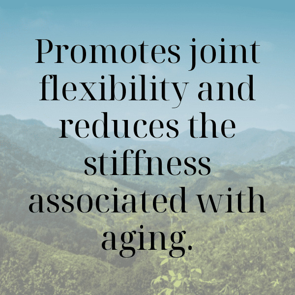 Osteospermum Captions Photo For Instagram-ALEuDD