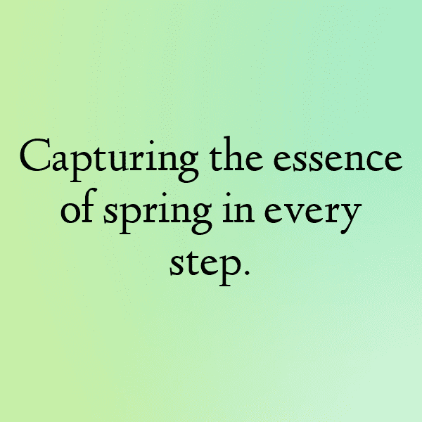 Osteospermum Captions Photo For Instagram-P6pIei