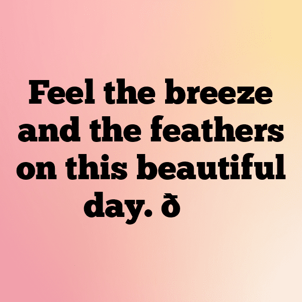 Ostrich Captions Image For Instagram-ecyysY