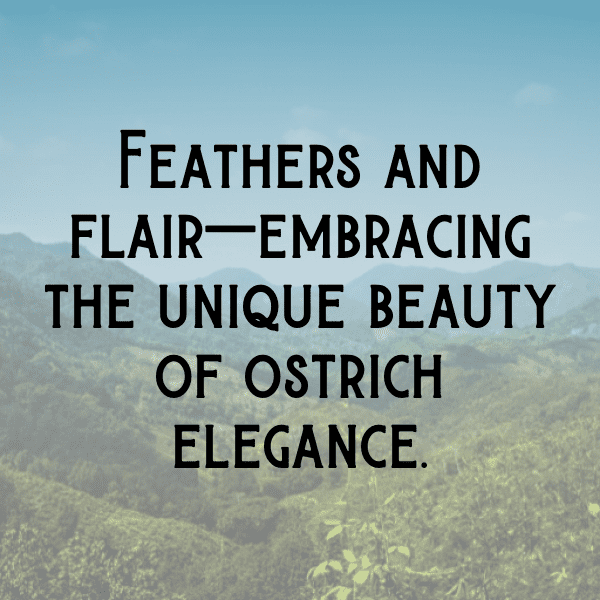 Ostrich Captions Image For Instagram-izFpSp