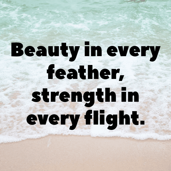 Ostrich Captions Image For Instagram-pGgfXg