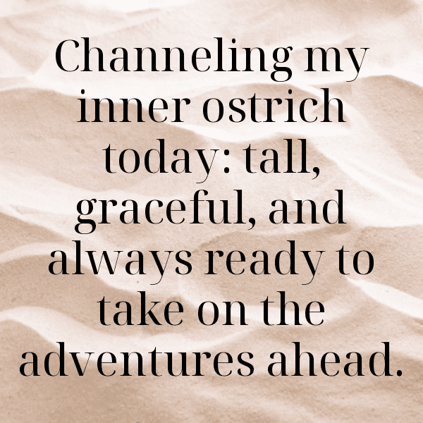 Ostrich Captions Image For Instagram-Rou2zt