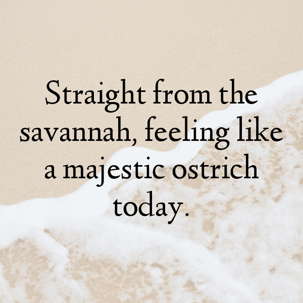 Ostrich Captions Photo For Instagram-Bxk6S2