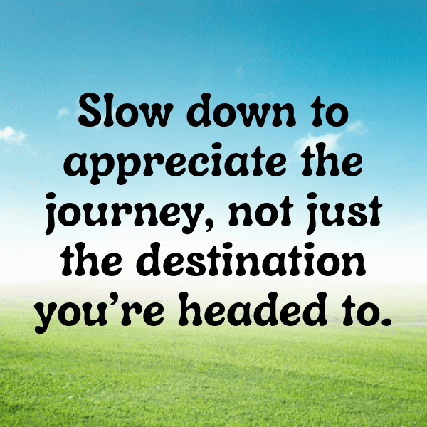 Otter Captions Image For Instagram-DRbIdN