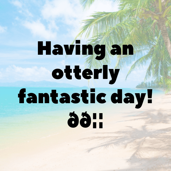 Otter Captions Photo For Instagram-MGLM7g