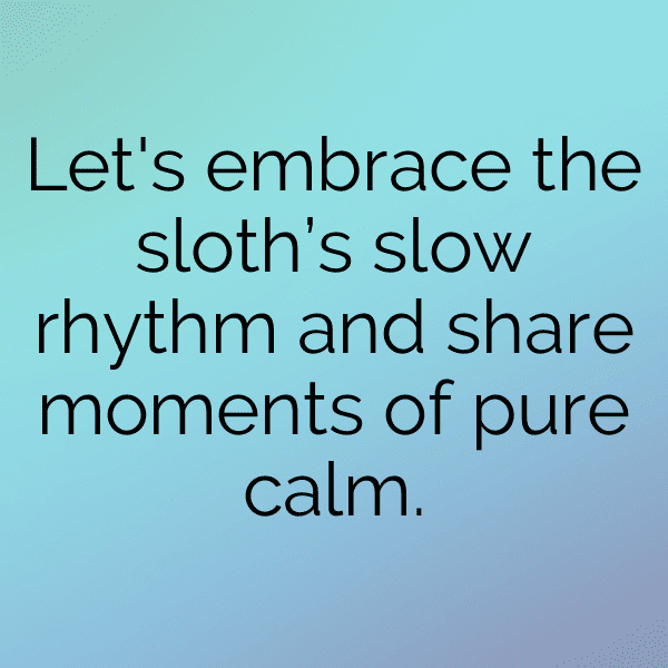 Otter Captions Photo For Instagram-t1ANUi