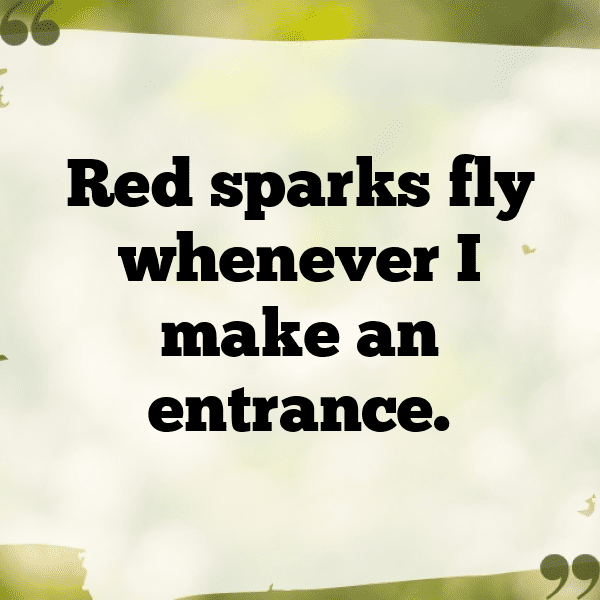 Otter Captions Photo For Instagram-YOK0J0