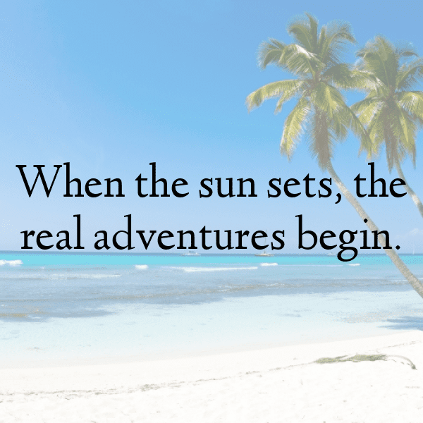 Owl Captions Image For Instagram-gCeXYa