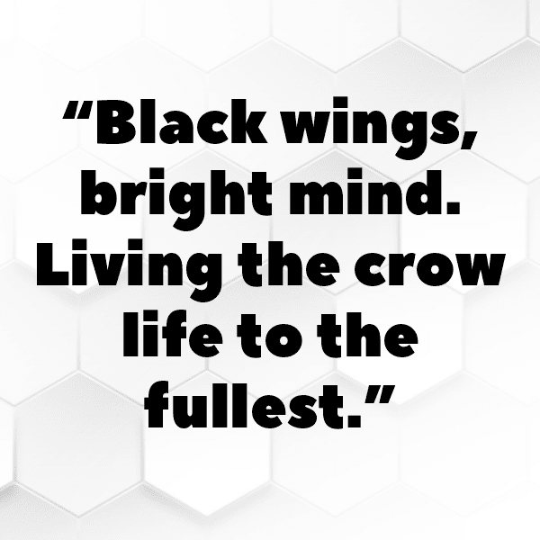 Owl Captions Image For Instagram-Ov2T00