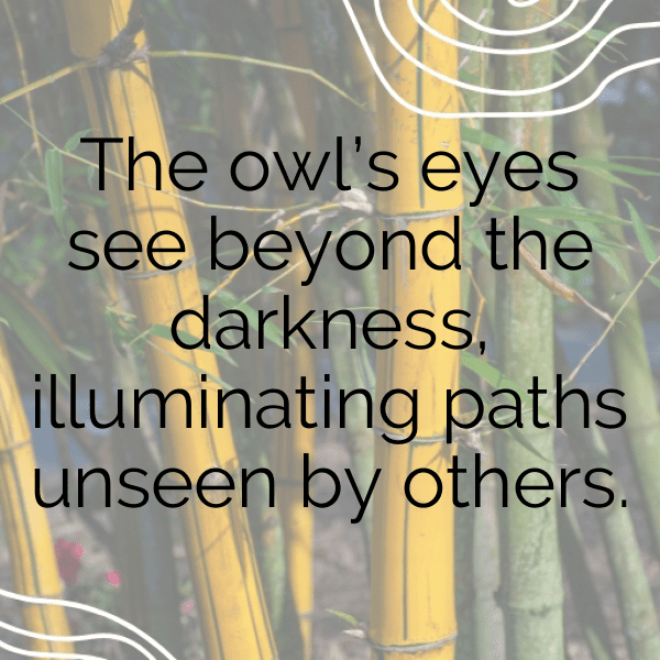 Owl Captions Image For Instagram-sWUJZX