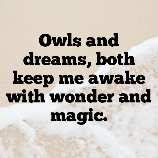 Owl Captions Photo For Instagram-gLfs9s