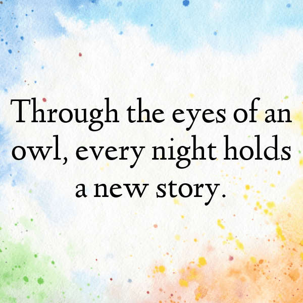 Owl Captions Photo For Instagram-mA42jm