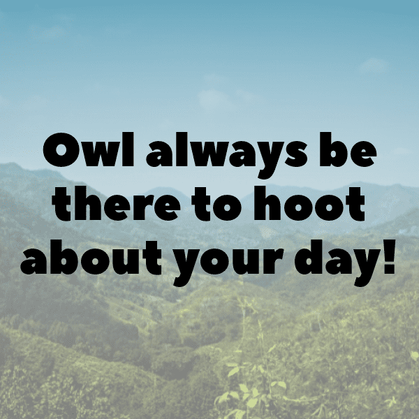 Owl Captions Photo For Instagram-TG1oay