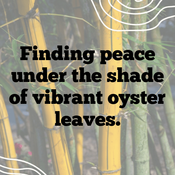 Oyster Leaf Captions Photo For Instagram-pkBRlb