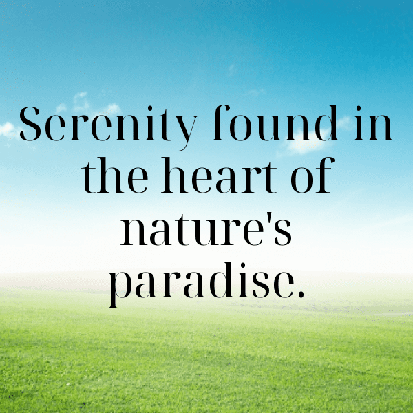 Palau Captions Photo For Instagram-VOjlau