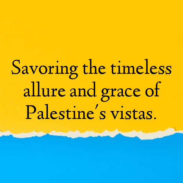 Palestine Captions Photo For Instagram-qNpGDO