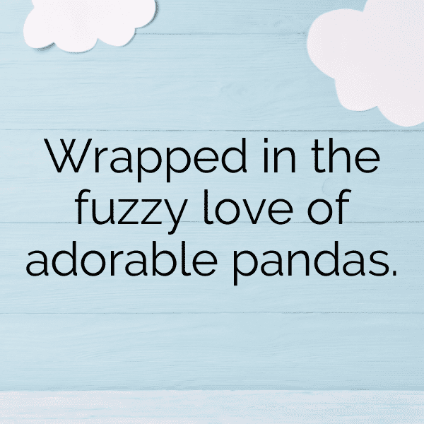 Panda Captions Image For Instagram-uMbO7M