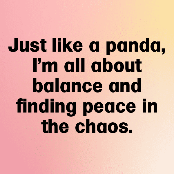 Panda Captions Photo For Instagram-o9sKjC